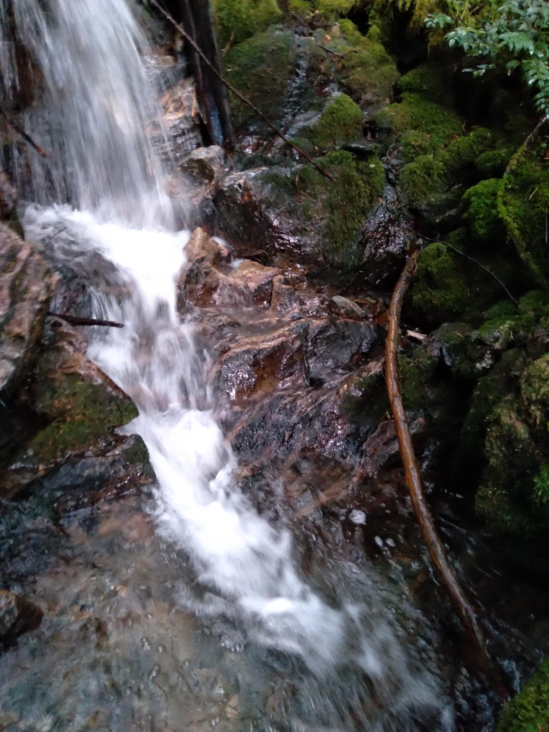 mountain-creek-jade-country